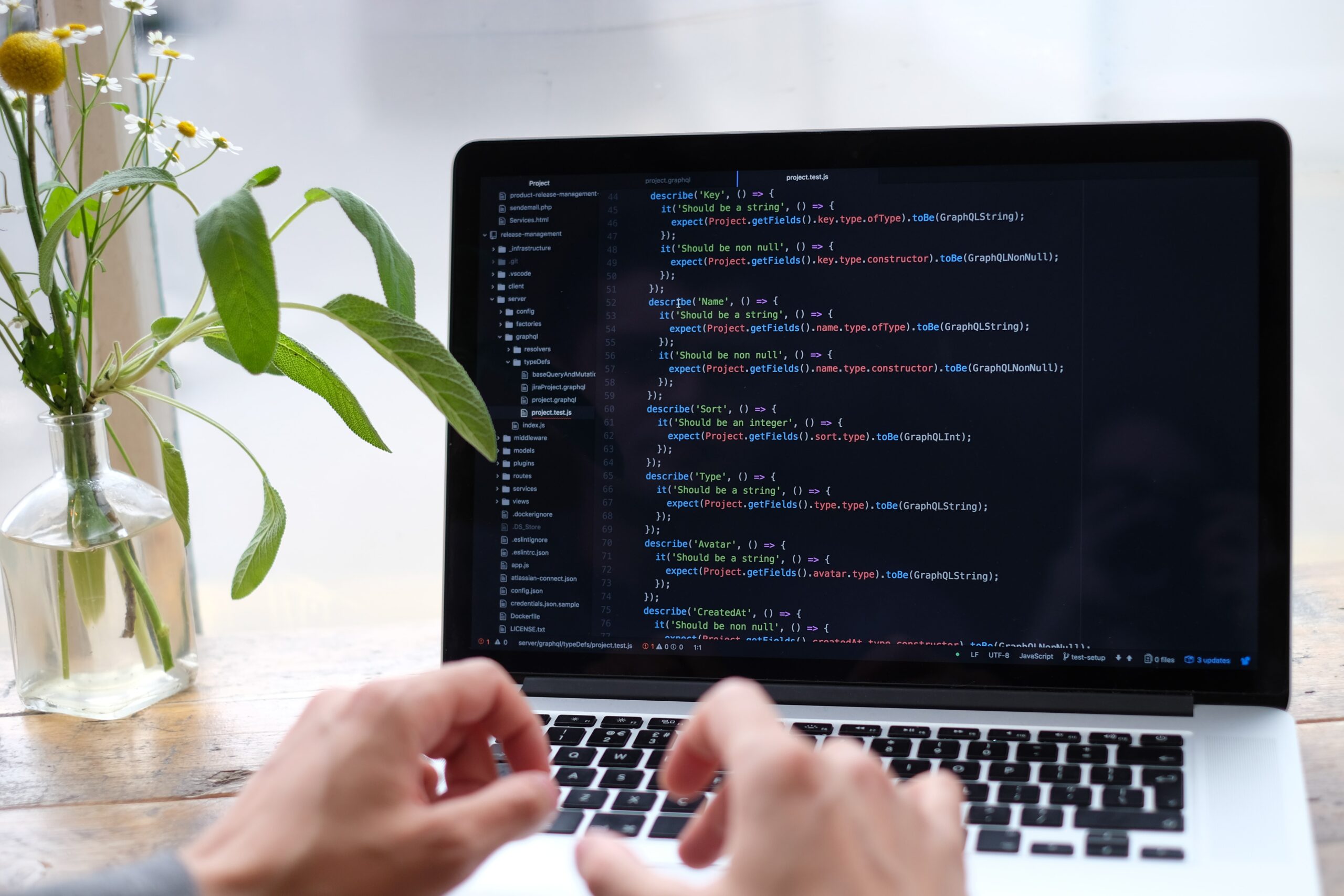 programare Javascript